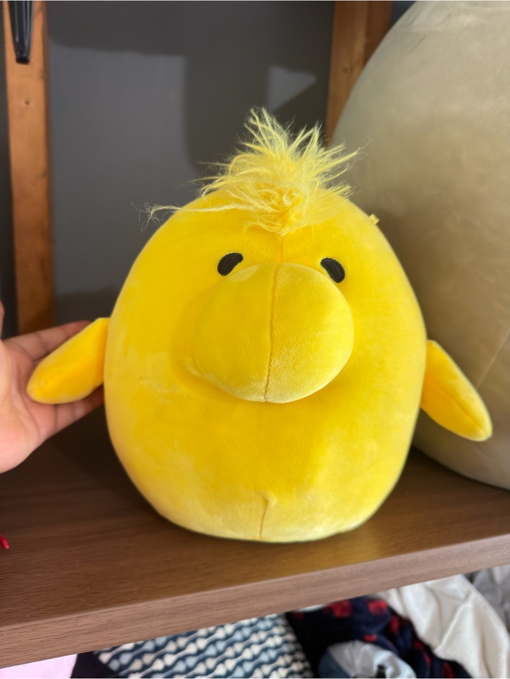 Squishmallow Woodstock Peanuts 8" Plush